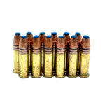 *NEW* 22lr Incendiary 12rd pack